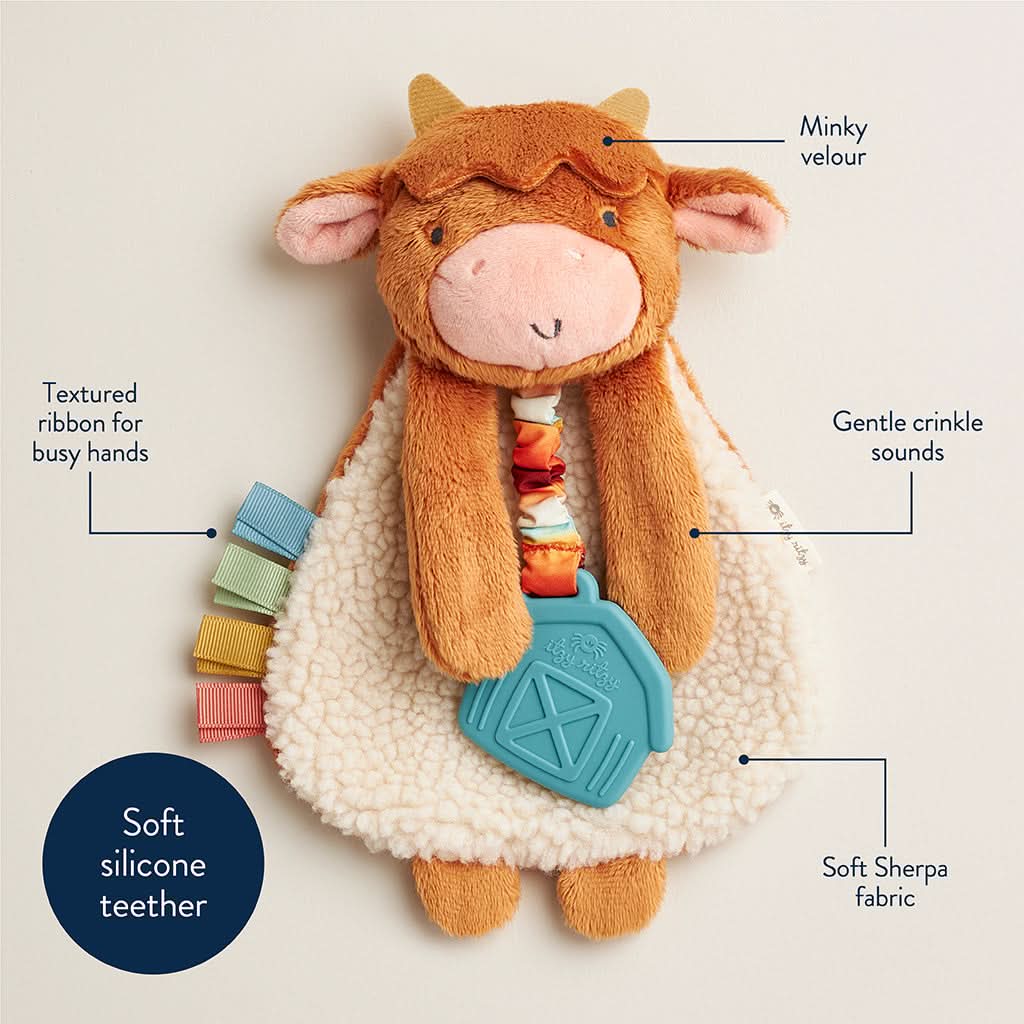 Itzy Lovey™ Plush and Teether Toy - Image 18