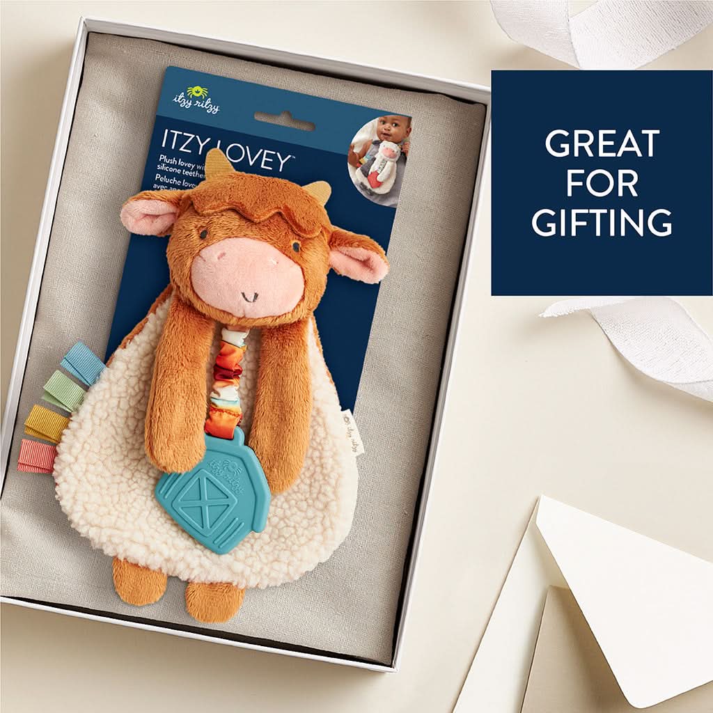 Itzy Lovey™ Plush and Teether Toy - Image 20