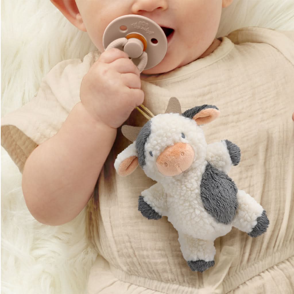 Bitzy Pal™ Natural Rubber Pacifier & Lovey - Image 12