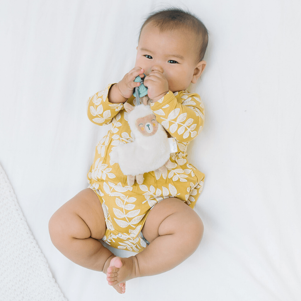 Itzy Paci Pal™ - Pacifier & Stuffed Animal - Image 10
