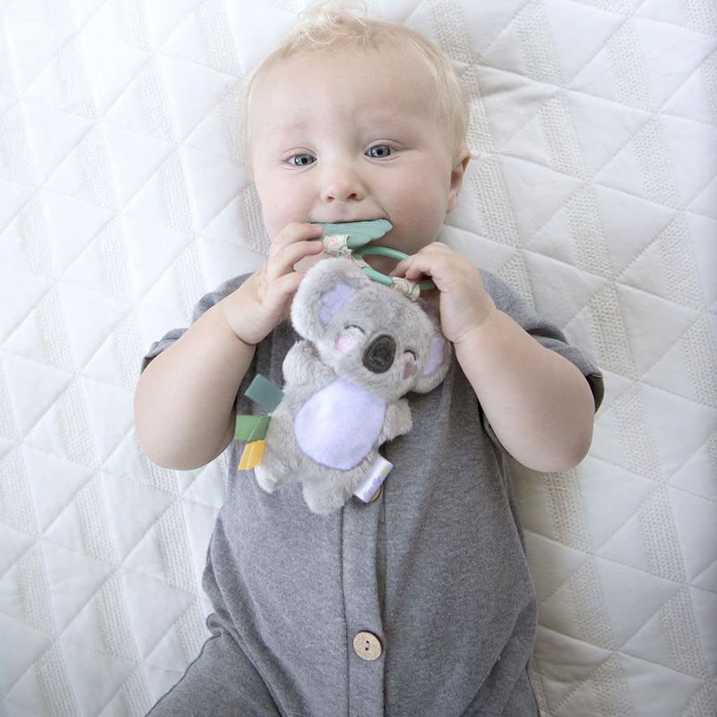 Itzy Pal™ Infant Toy - Image 24